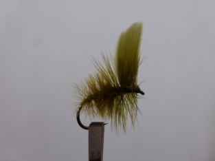 Size 16 Olive Moth Barbless